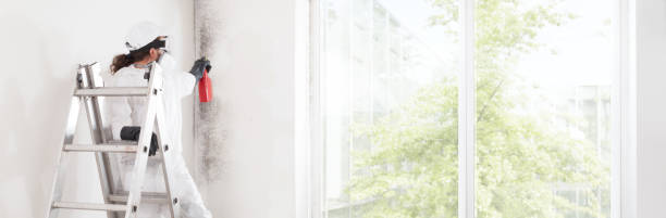 Best Mold Odor Removal Services  in Cashion, OK